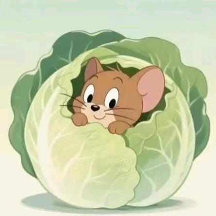 ˗ˋˏ 兜兜有米 ˎˊ˗