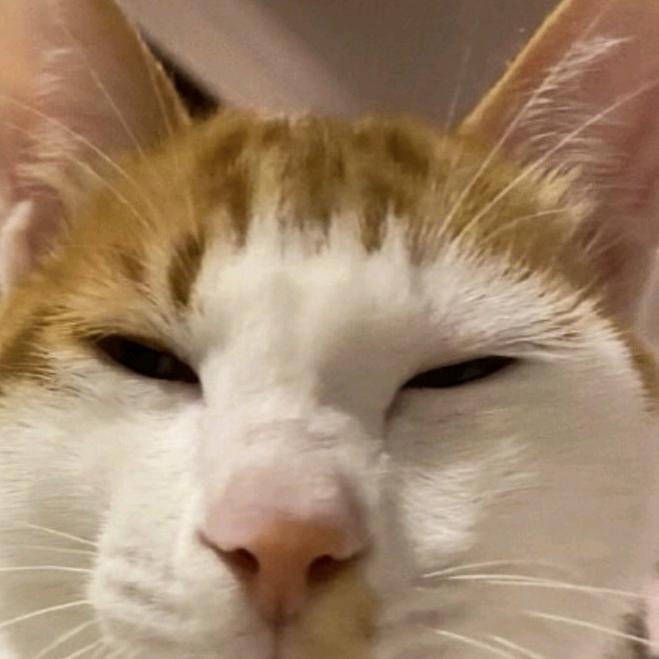 走遍帅哥评论区（不是gay）