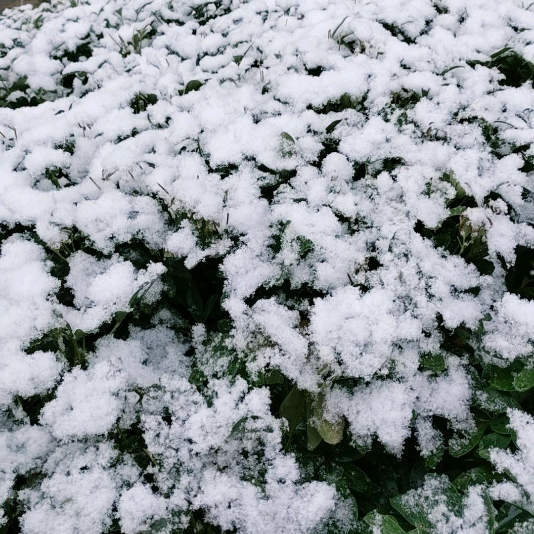 ￥✺◟(∗❛ัᴗ❛ั∗)◞✺丽