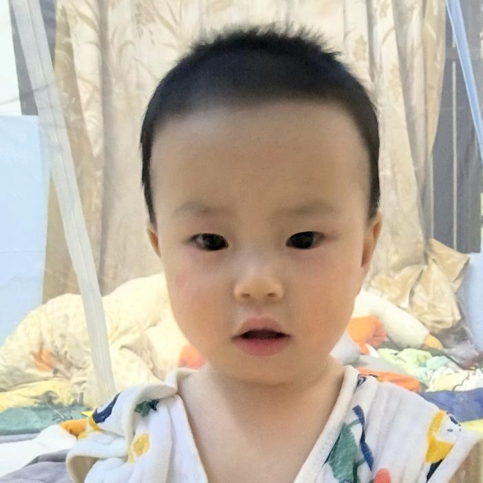 嘟嘟饲养员