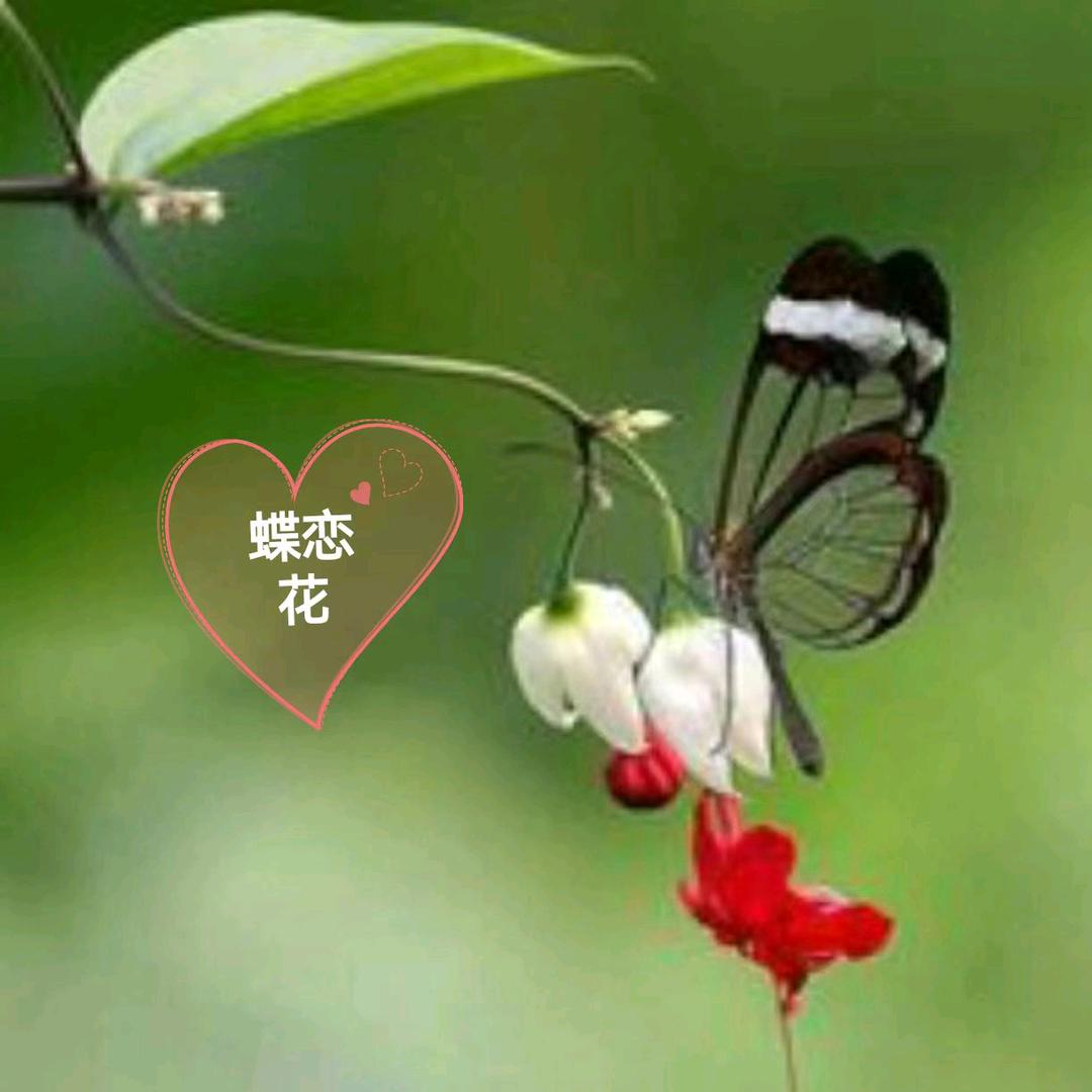 @鹿鹿💋