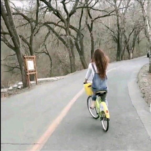 未来不是梦🍀🌻