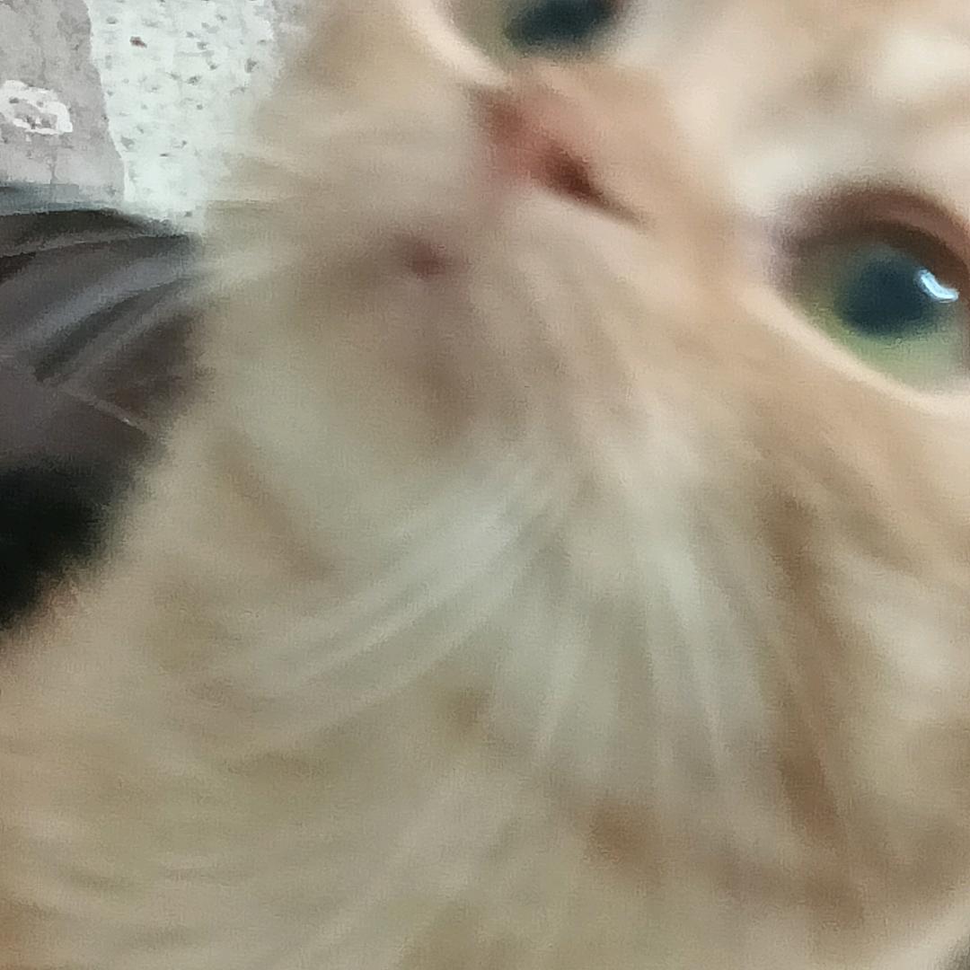 七一