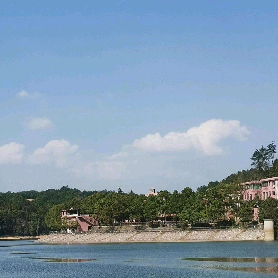 毛线，