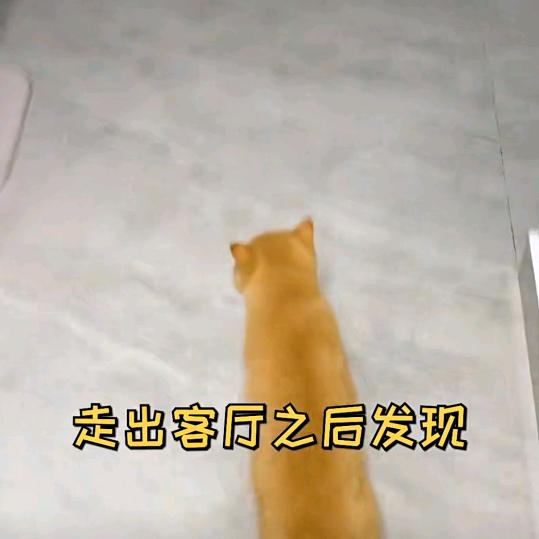 空白🍒（小号直播）