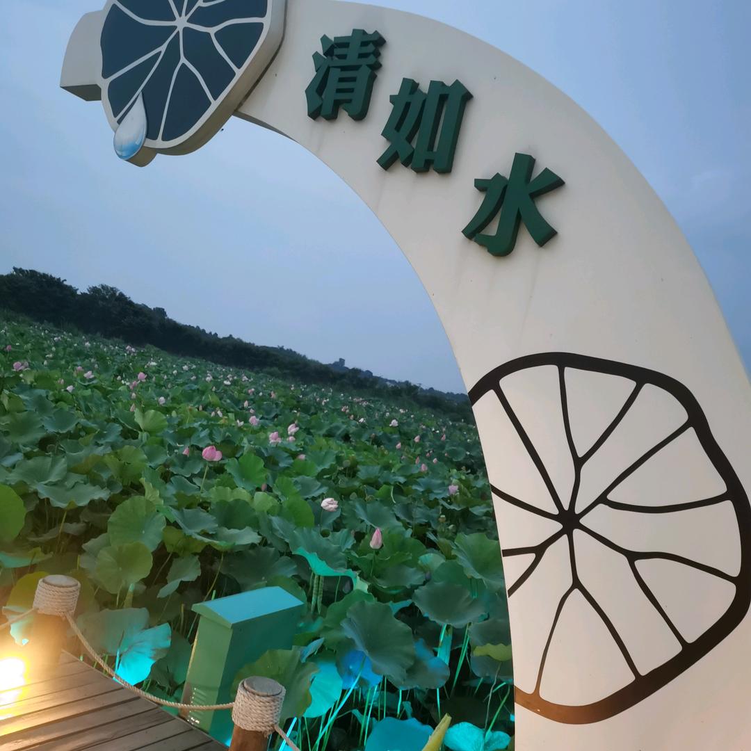 缘梦