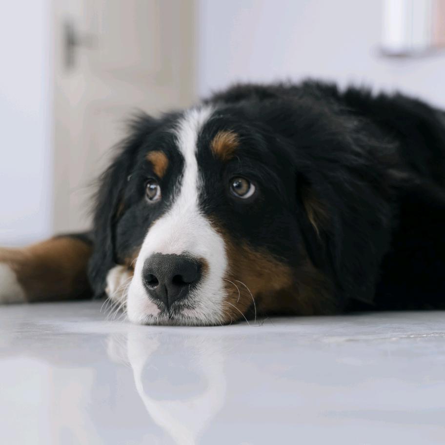 海阔天空，，，