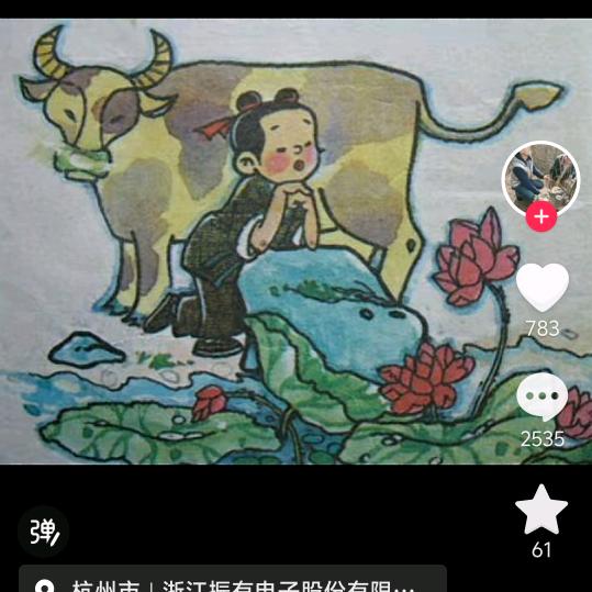 美丽不打折