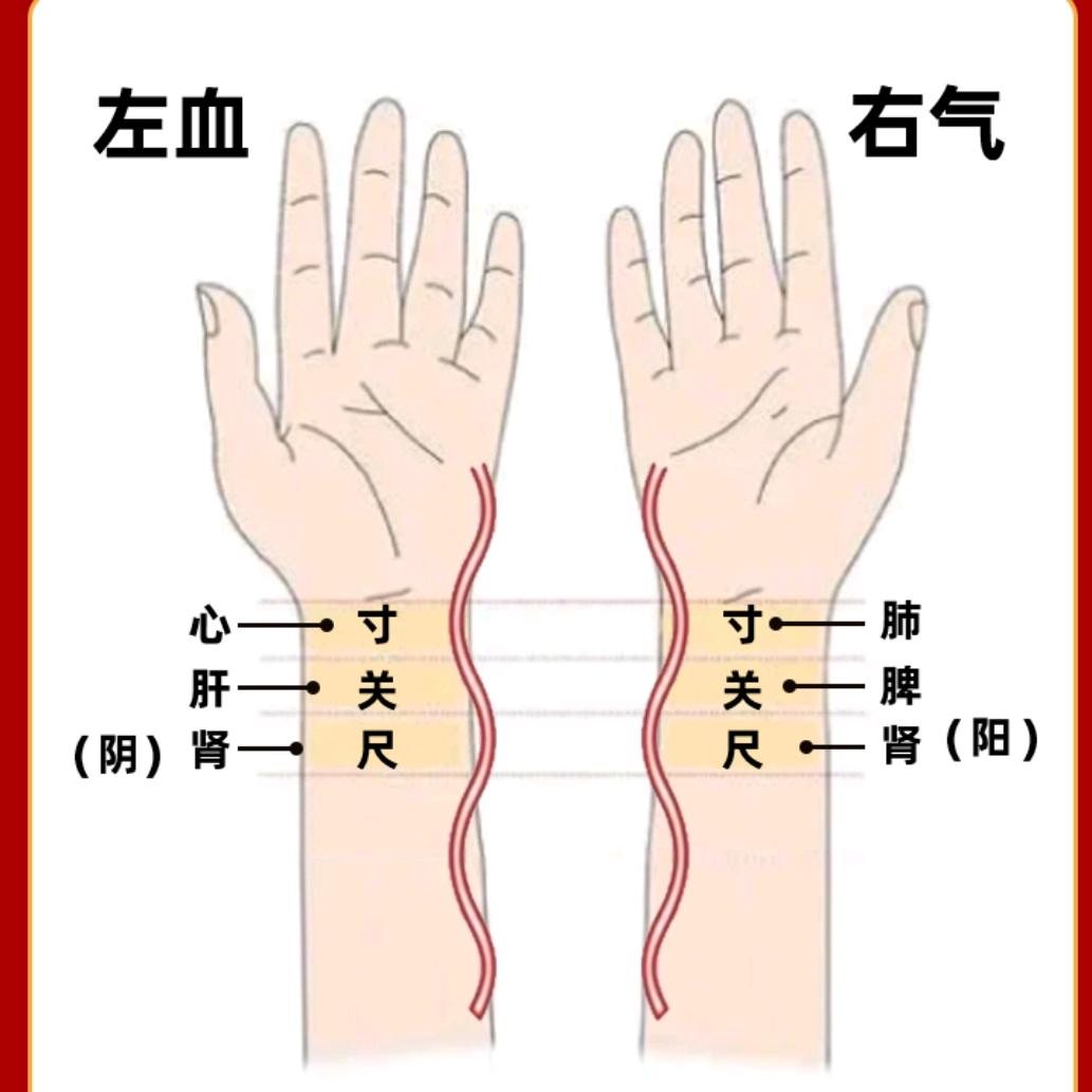 陶者医道.游钓江湖