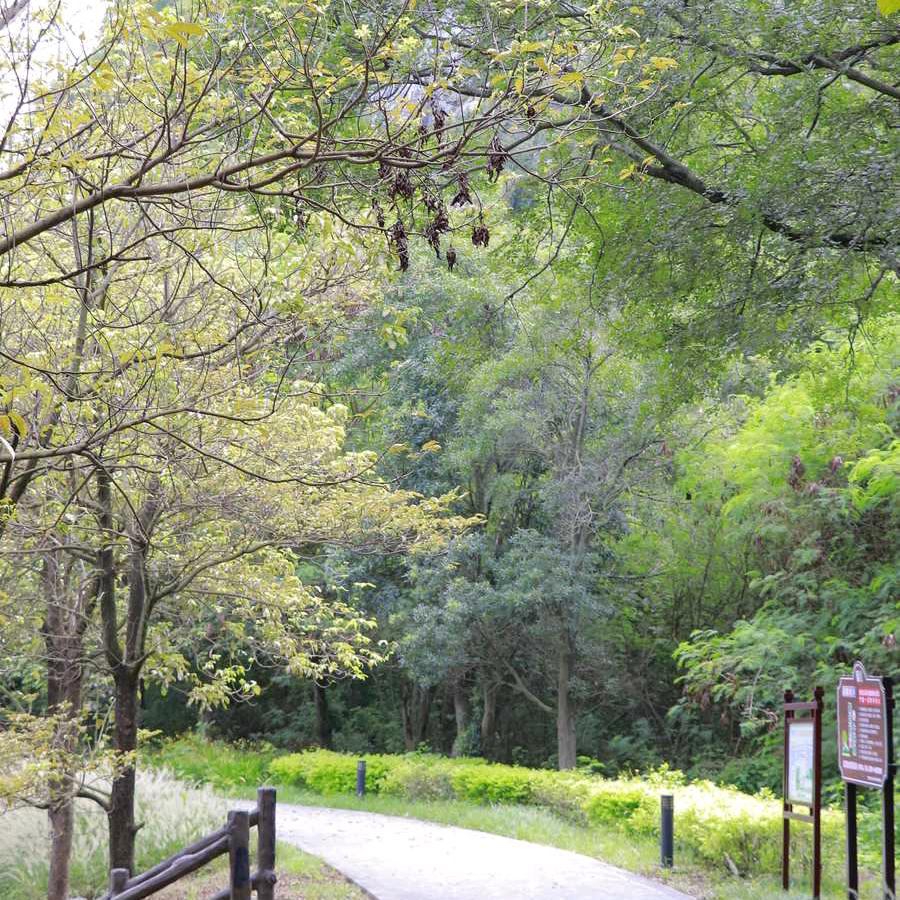 现实生活大实话