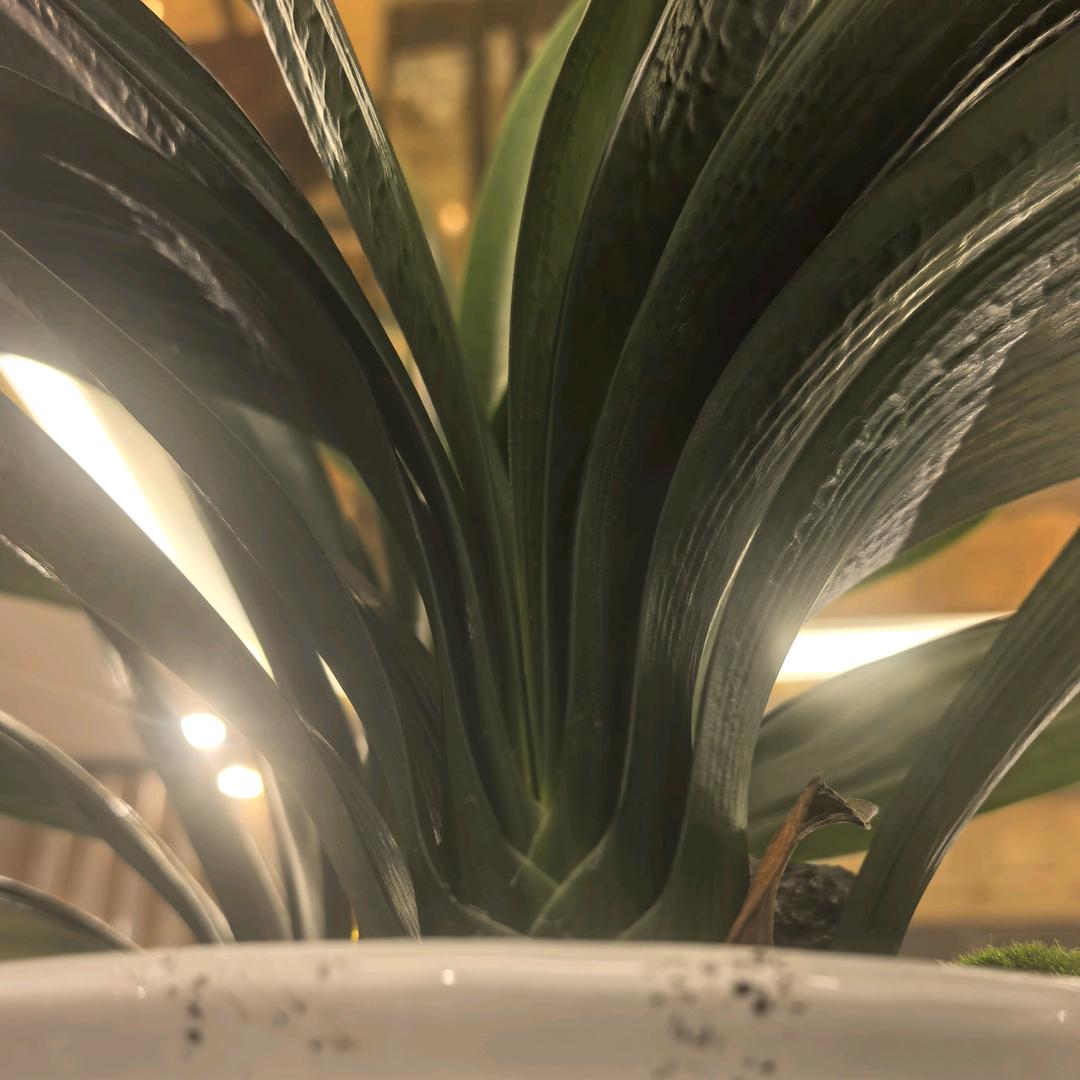 娄底丶是阿伟啊