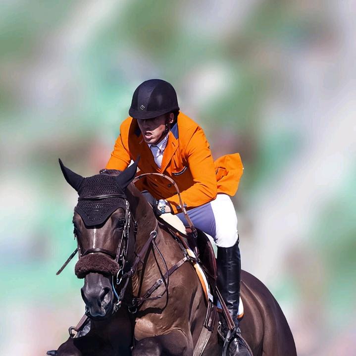 请你不要胡说八道