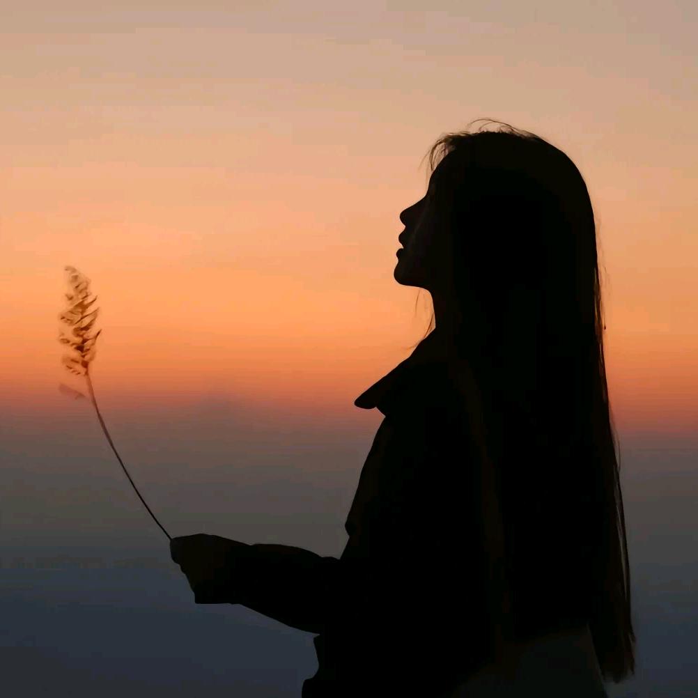 志钢购物广场(杨庄店)官方号