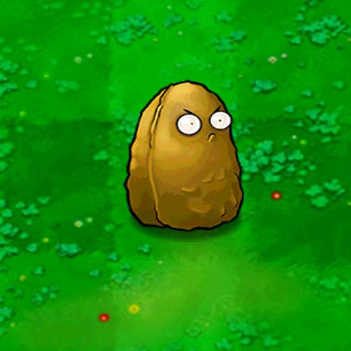 可这和我高坚果又有什么关系