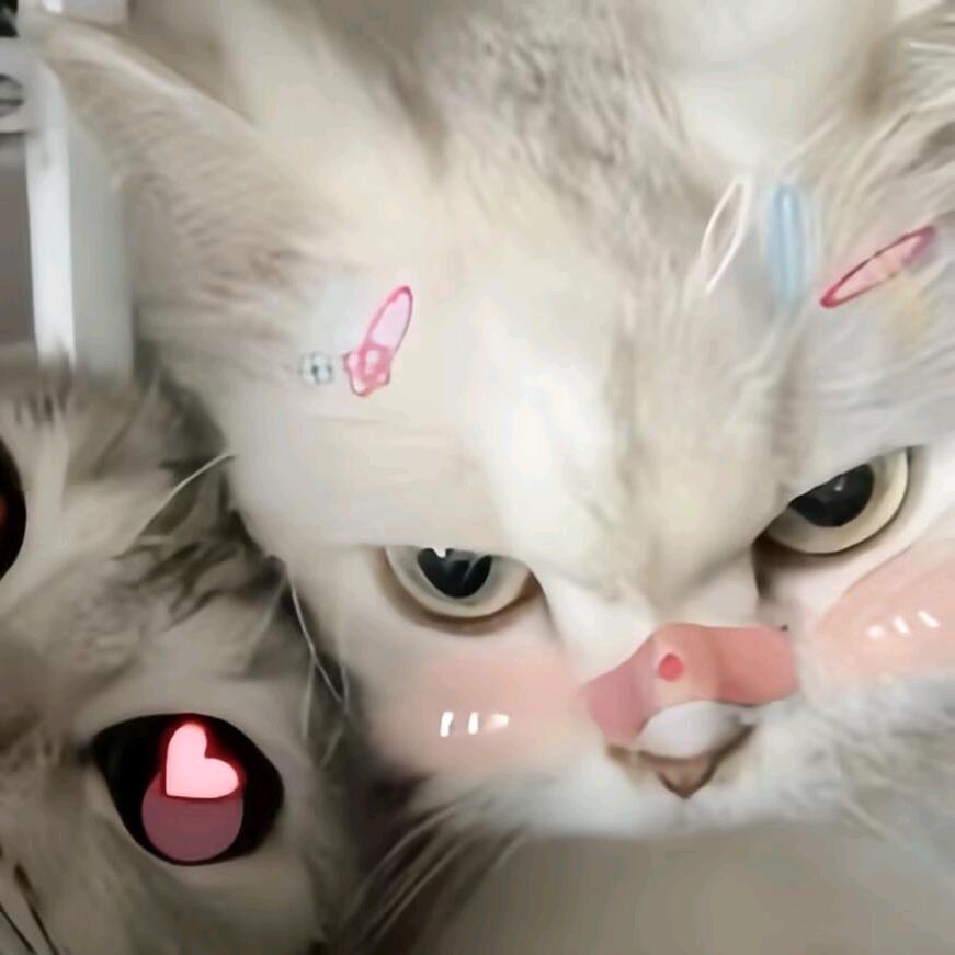 ૮₍˶•.•⑅₎ა