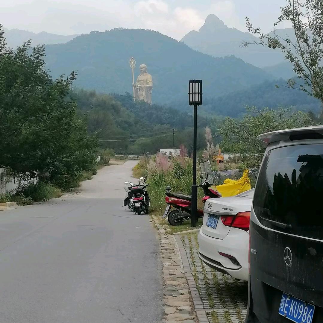 阳垒