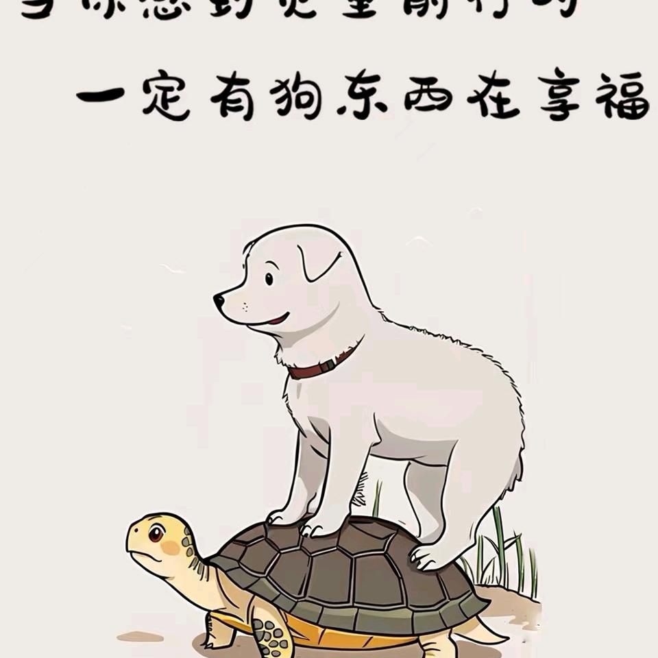 似🐮似🐴
