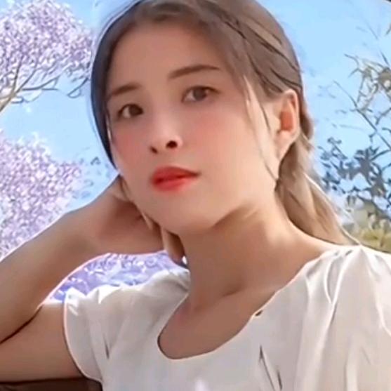 彩红