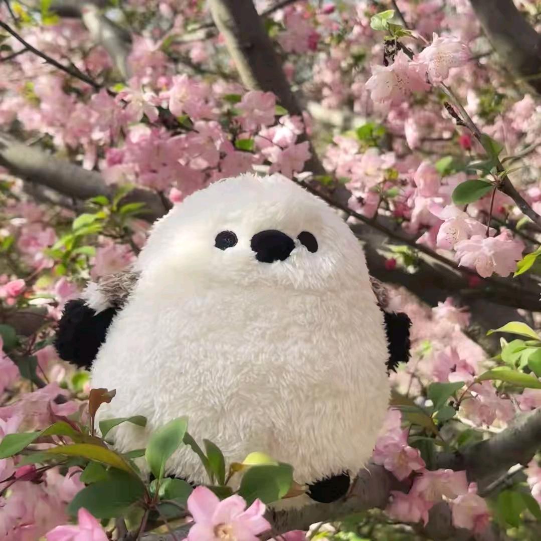 湫湫湫湫湫湫湫湫湫