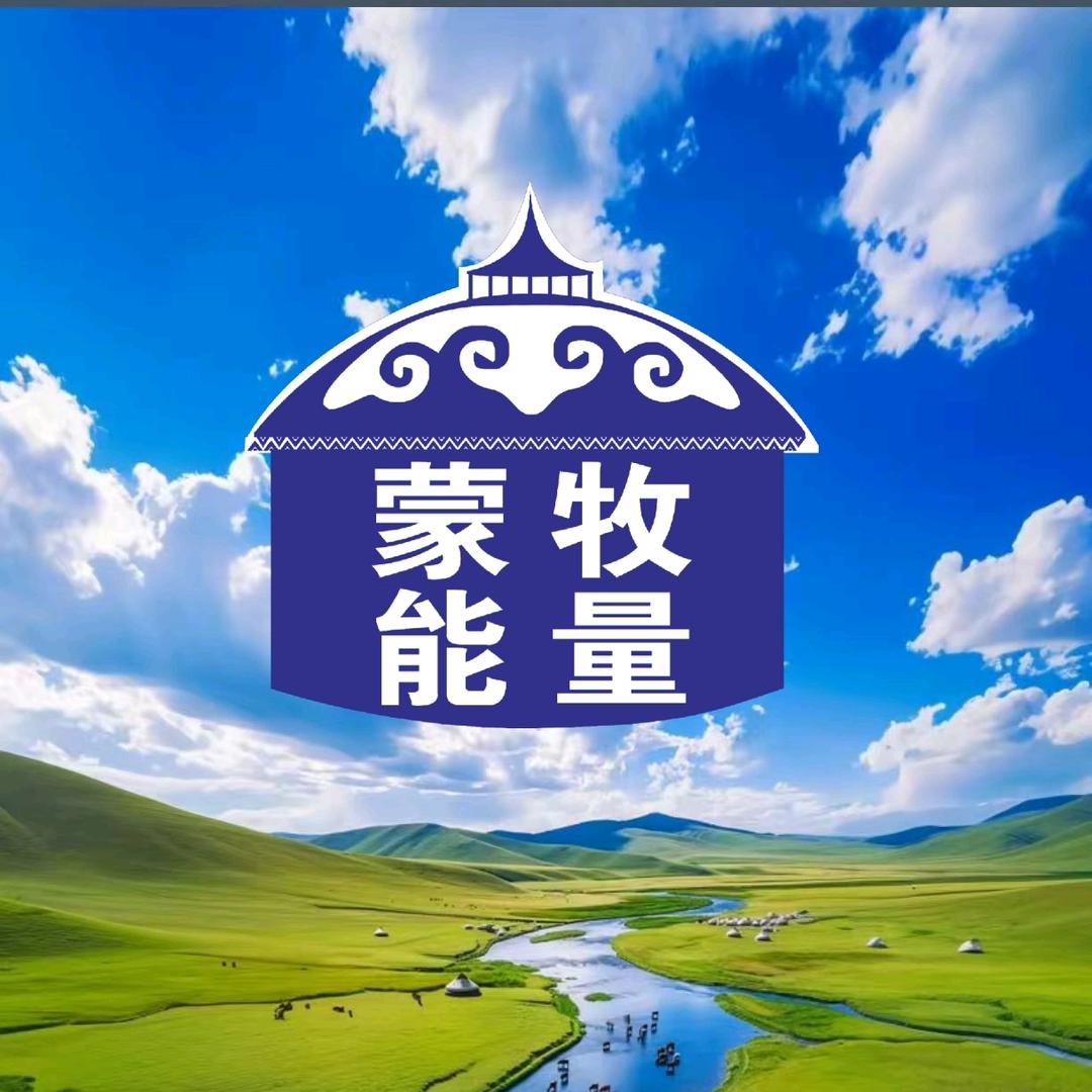 蒙牧能量内蒙特产牛肉干