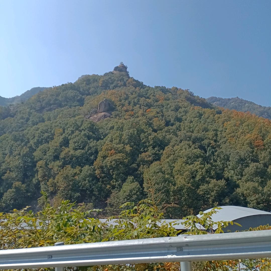 一生爱你