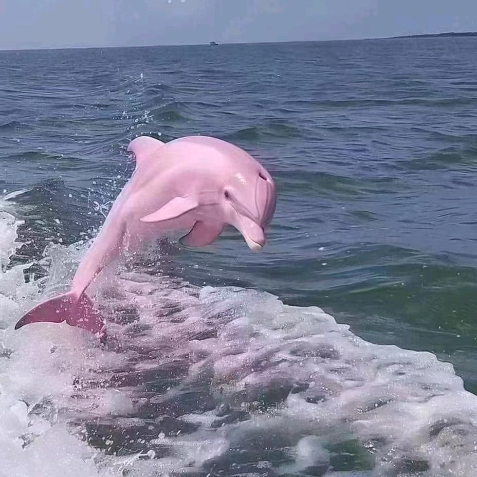 ღᩚ᭄烈酒꧔ಇ᭄暖心࿐