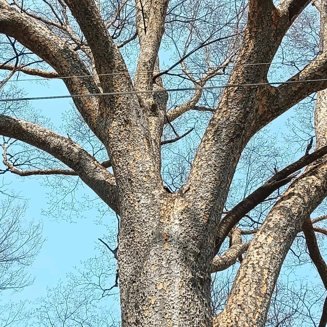心恨
