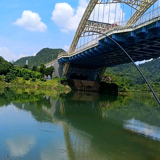 野钓小白