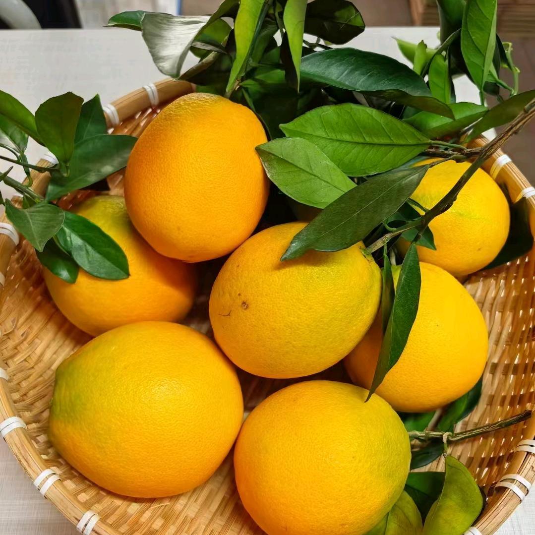 夭