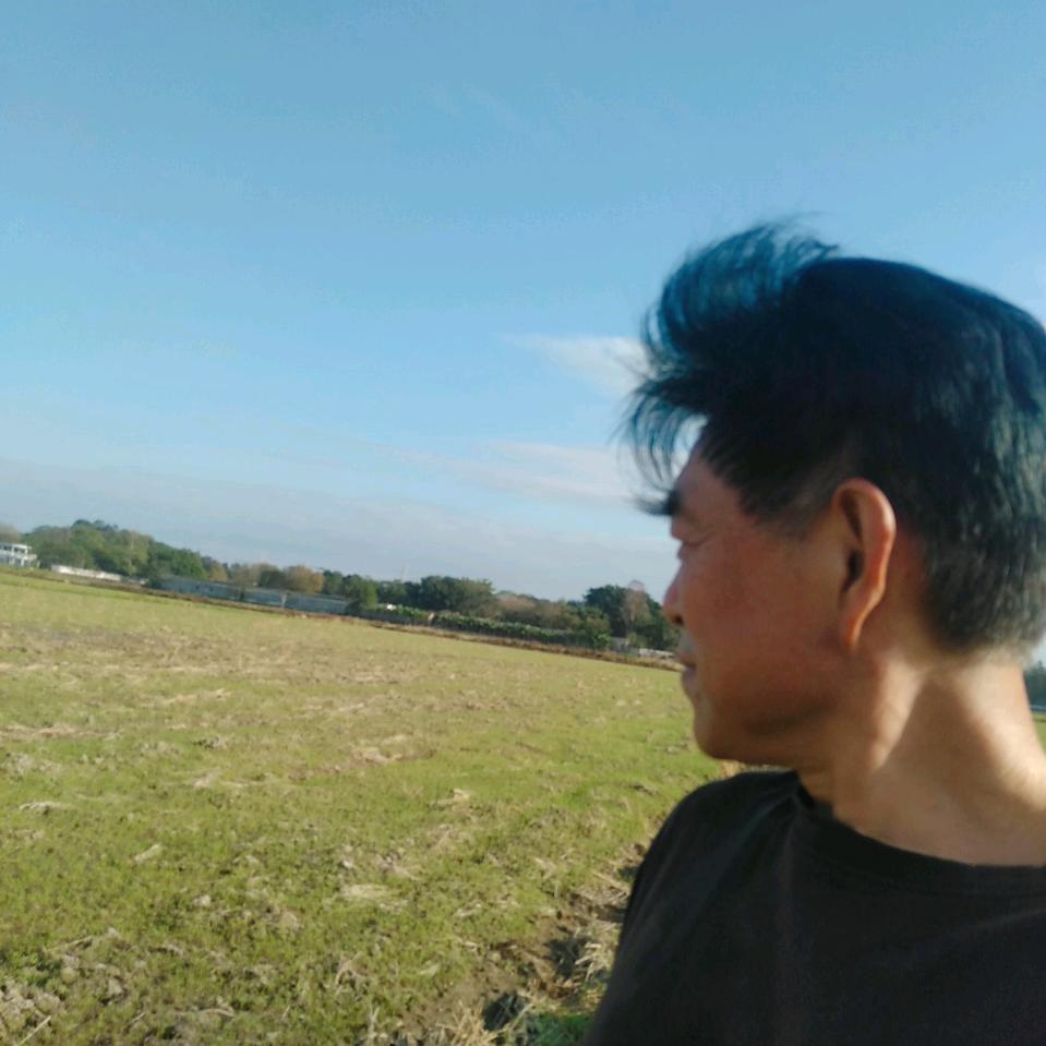 云醉海浑