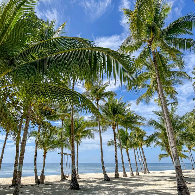 诚意好物甑选❤