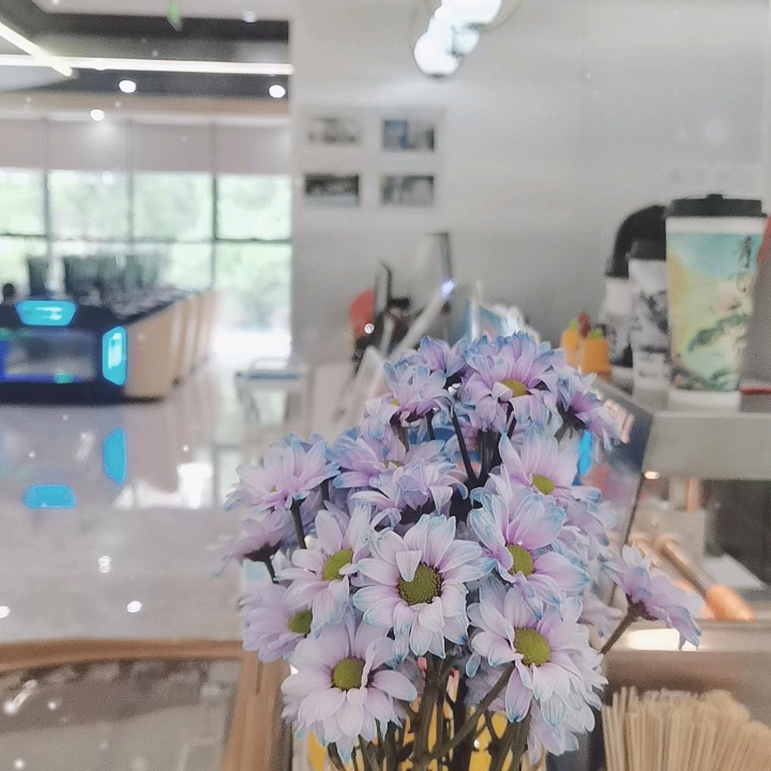 摸鱼2号