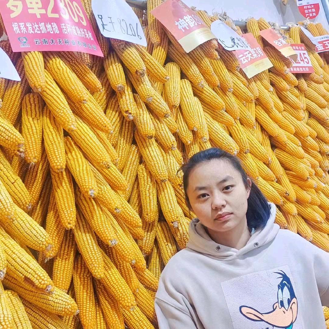沾益盘江诚信农资杜泽仙化肥种子经营部