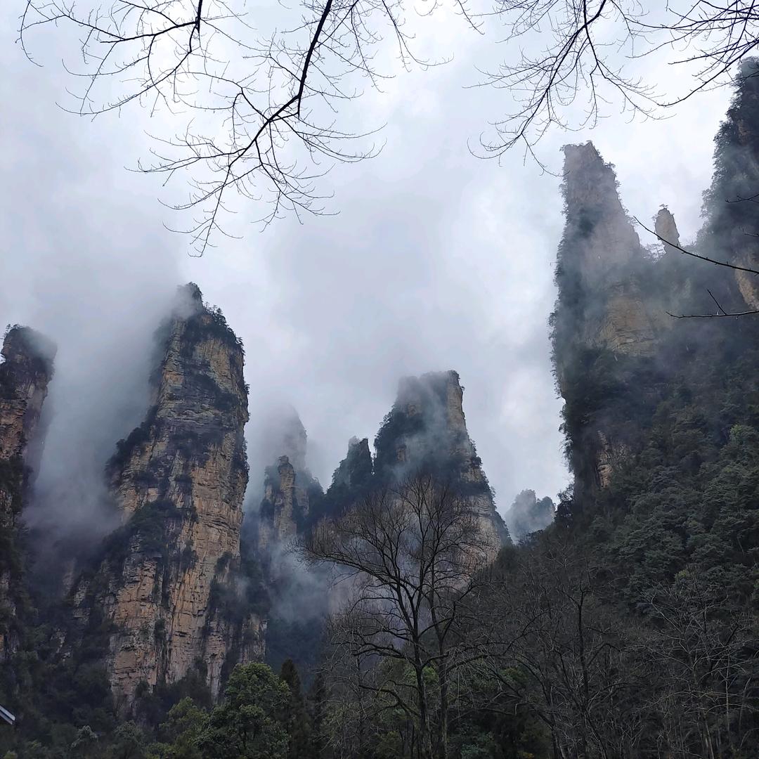 广州市天河区凤凰馨衣阁苑服饰店