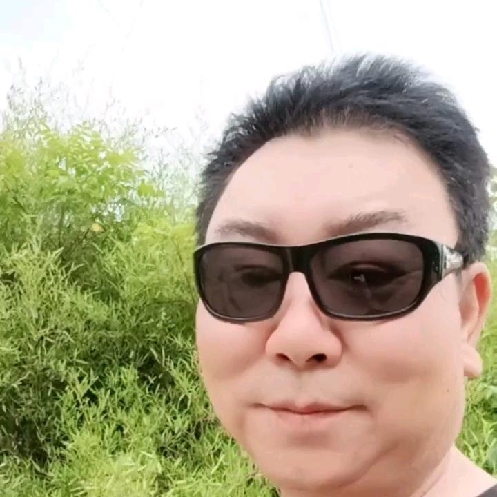 八一