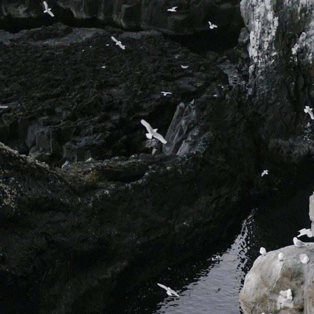 三过足浴而不入