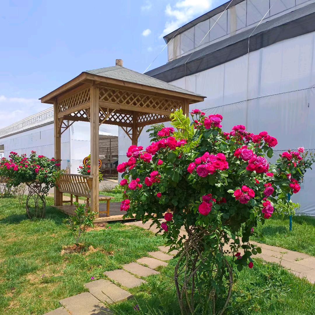 往后余生，爱自己