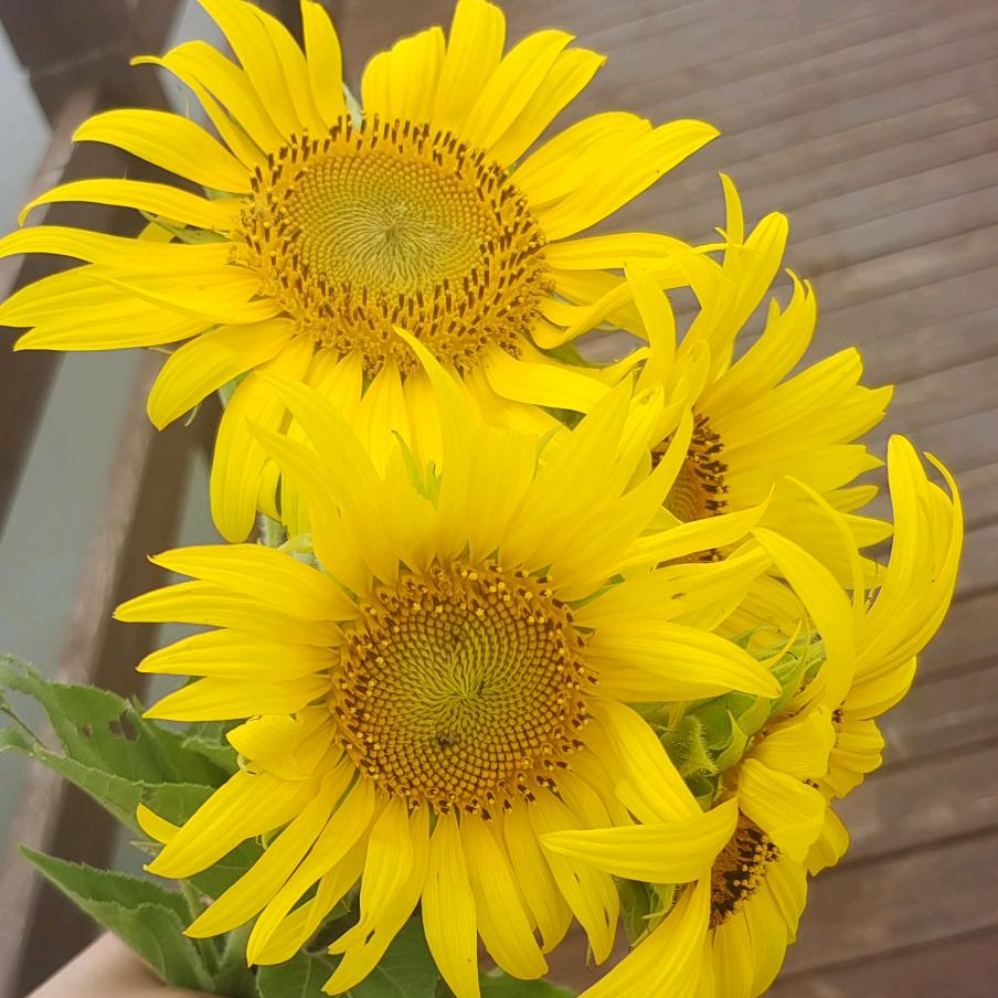 高伊宁❤