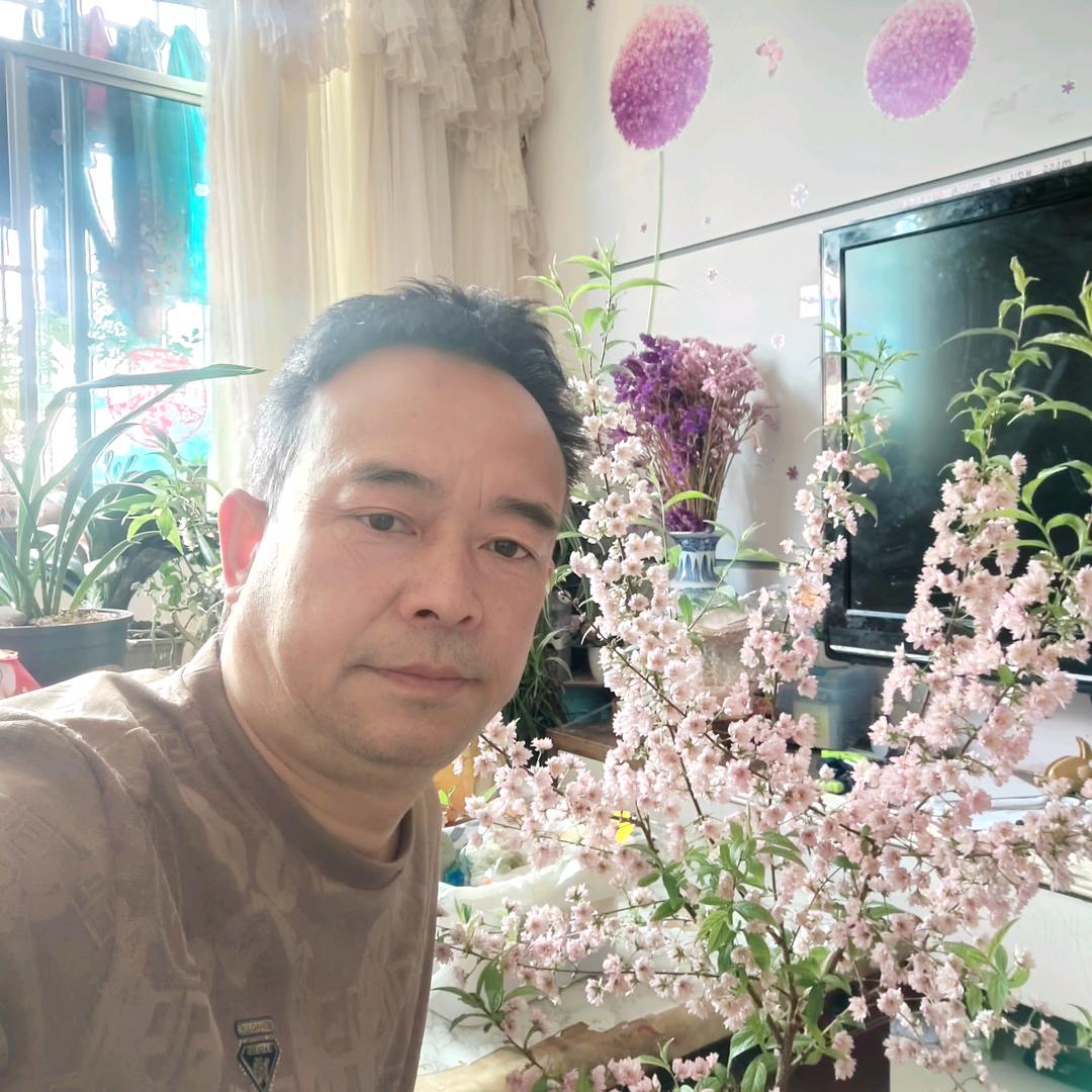 森林集市小铺