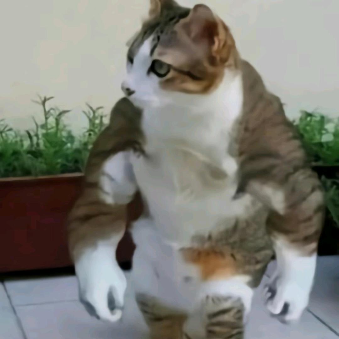 忘是非