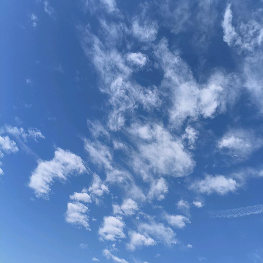 阳光