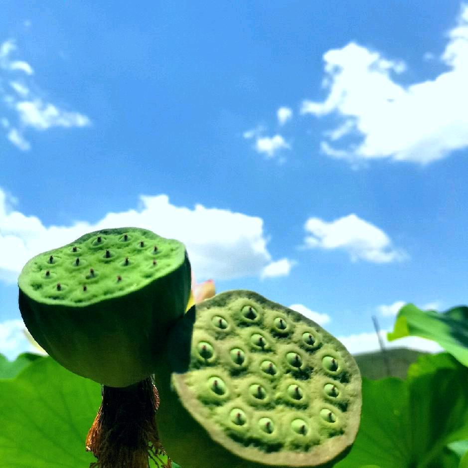 美好的时光