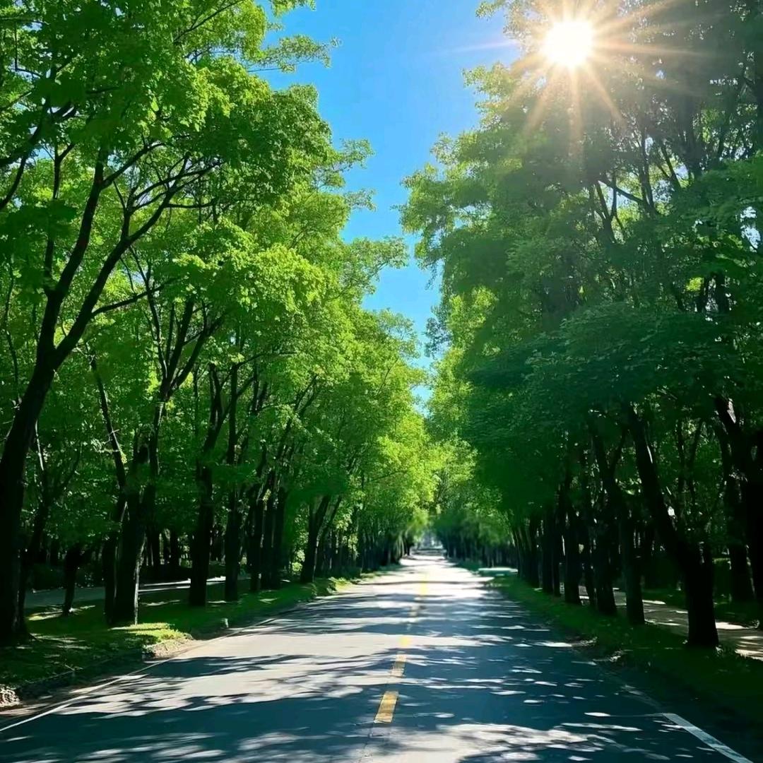 小潘哥
