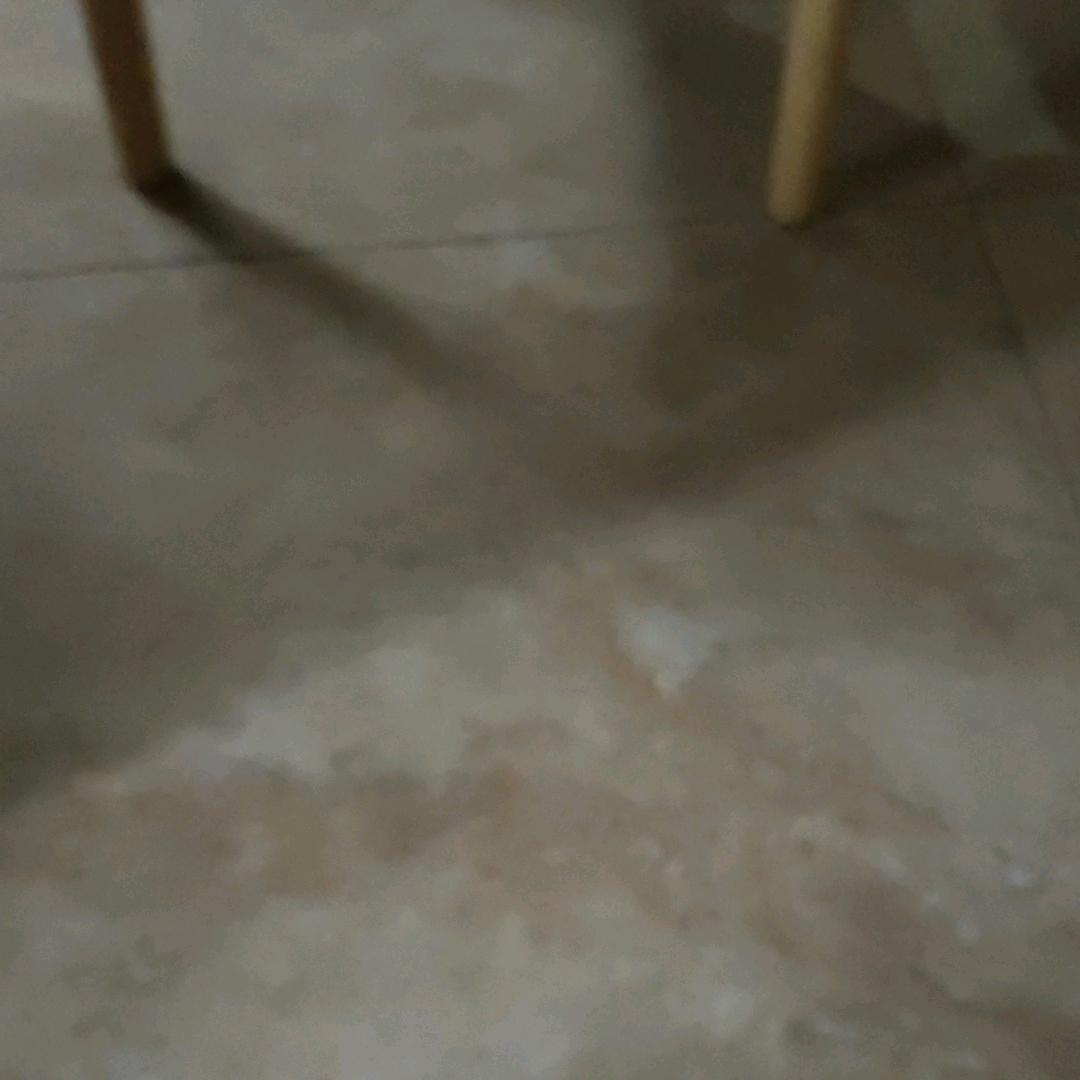 淑妹