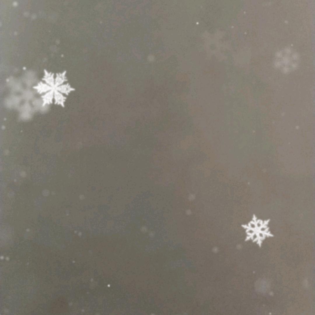 没有名字