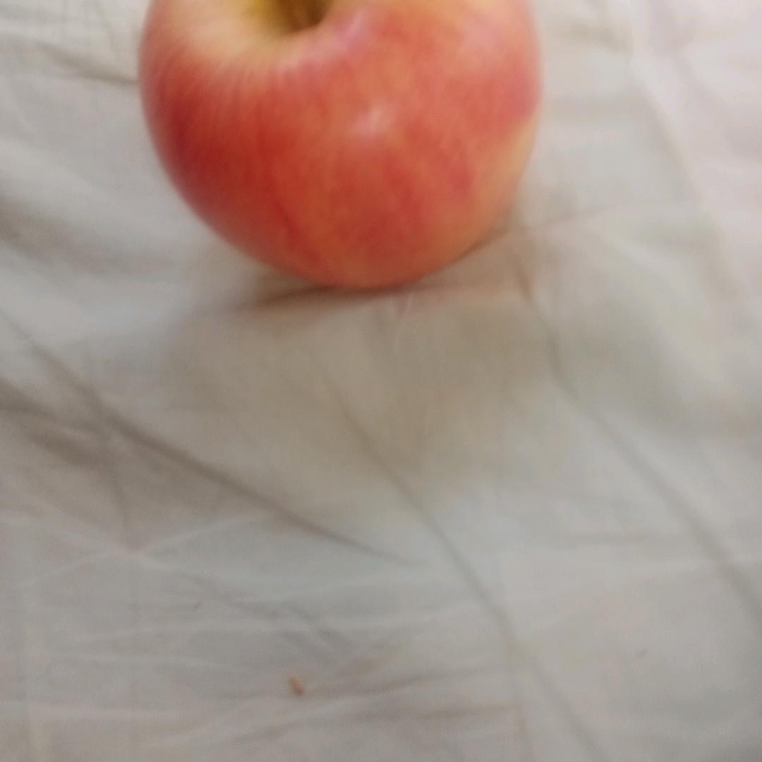 刀郎铁粉