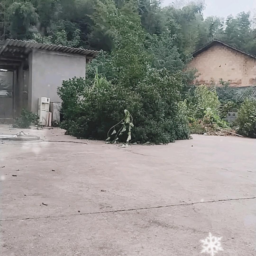 伍零柒叁