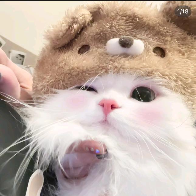 如烟