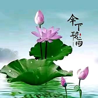 倾哥