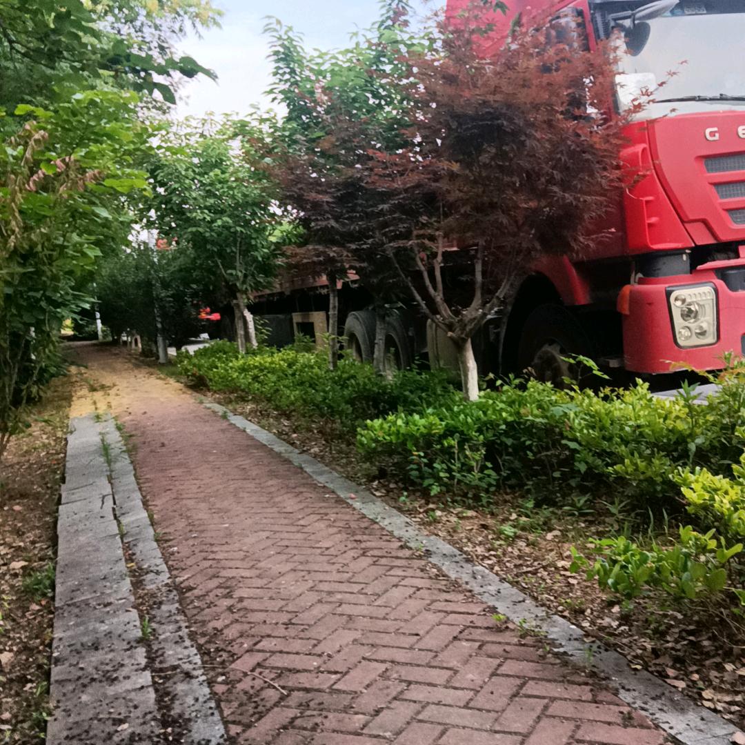 自由自在。
